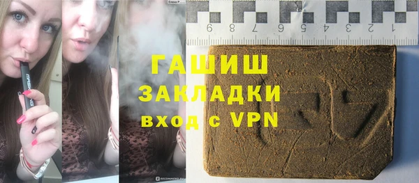 гашик Алексин