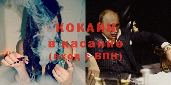 гашик Алексин