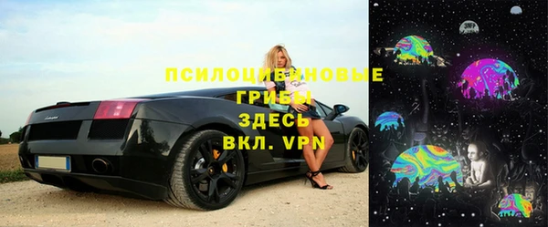ешки Алзамай