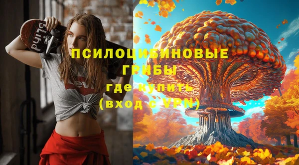ешки Алзамай