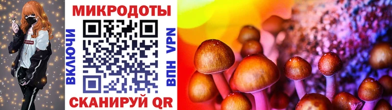 Псилоцибиновые грибы Psilocybe  цены   Сосновка 